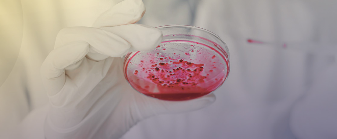 Sultan Qaboos University’s Journey in Scientific Research